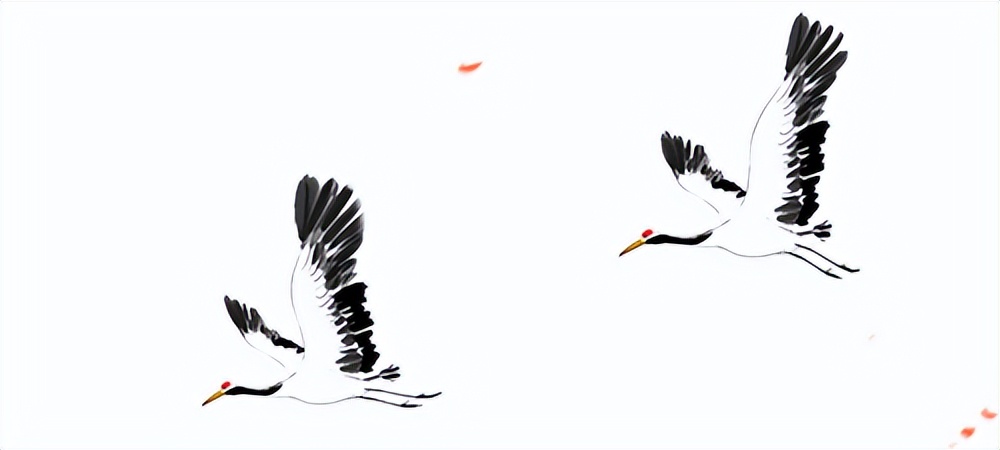 寻味宁德丨幽幽陌上菊花黄——屏南甜*菊黄**