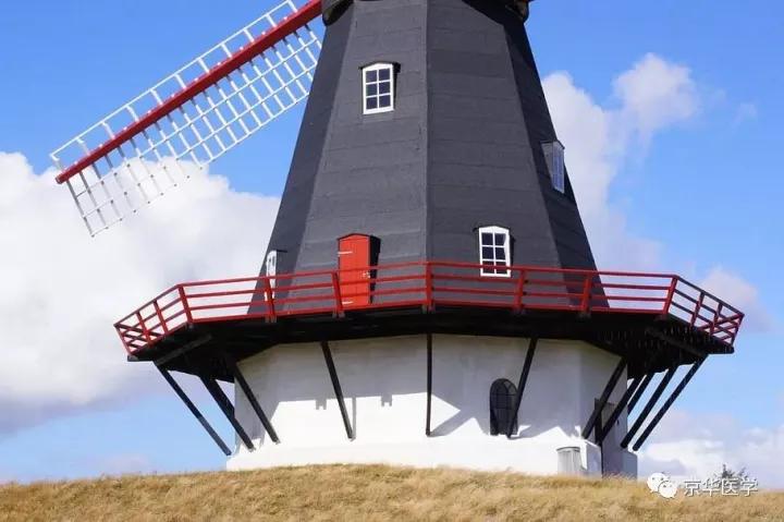 丹麦专科留学,出国去丹麦留学