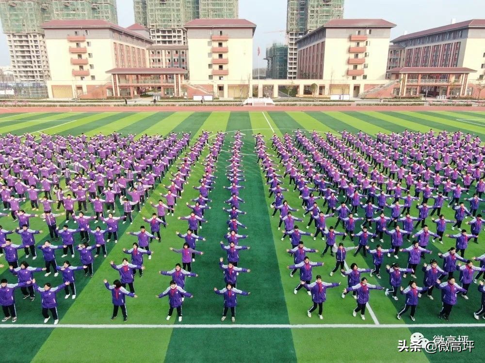 登顶热搜,登上热搜头条