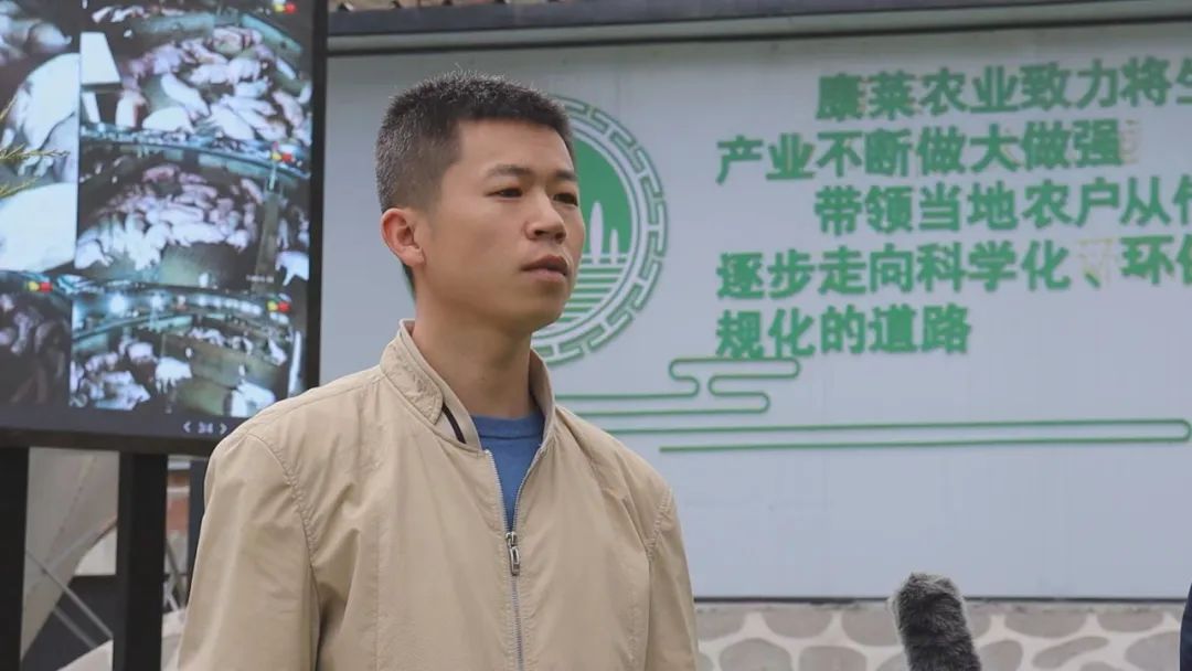 生猪快速致富养殖技术,土猪养殖致富经