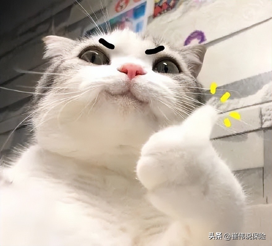 大厂出品必属精品,官方出品必属精品