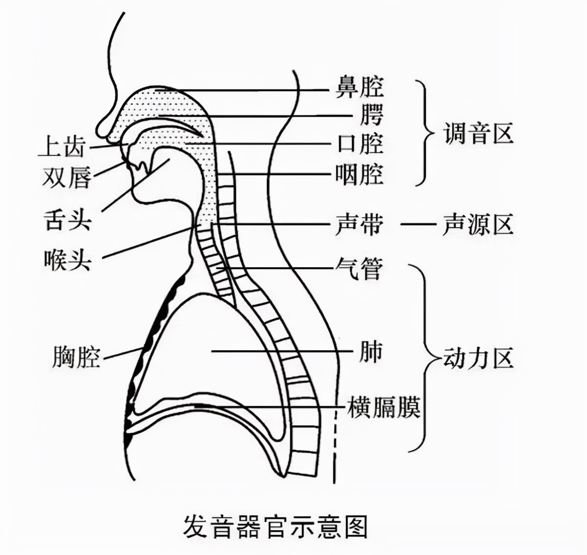 怎么纠正孩子jq的发音,六岁孩子jqx发音不准如何矫正