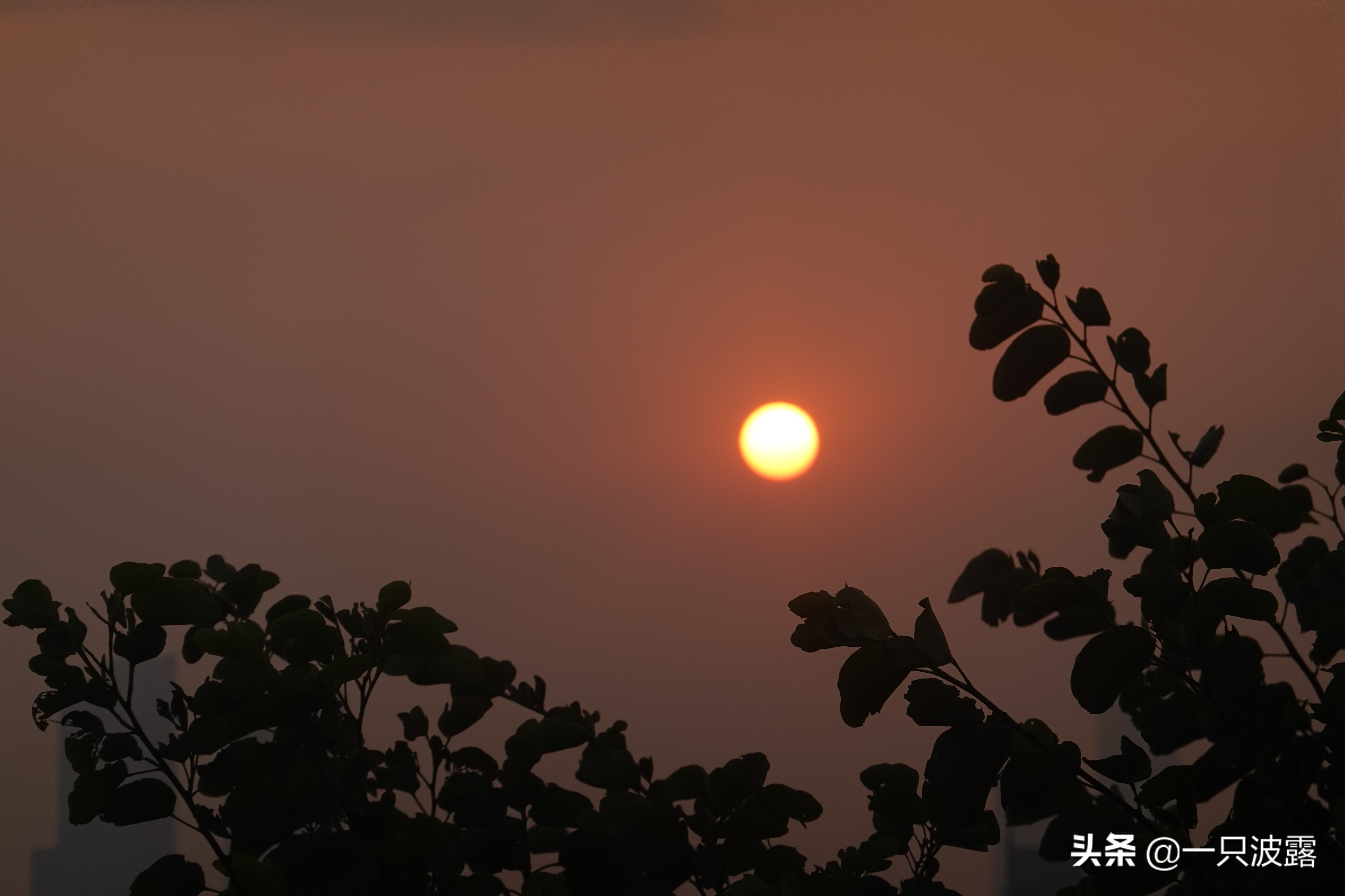 索尼黑卡视频记录设置,索尼黑卡三拍照技巧