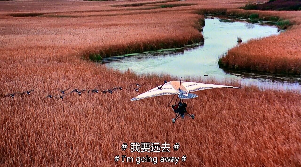 适合儿童假期观看的电影,儿童节就看这十部最好玩的电影