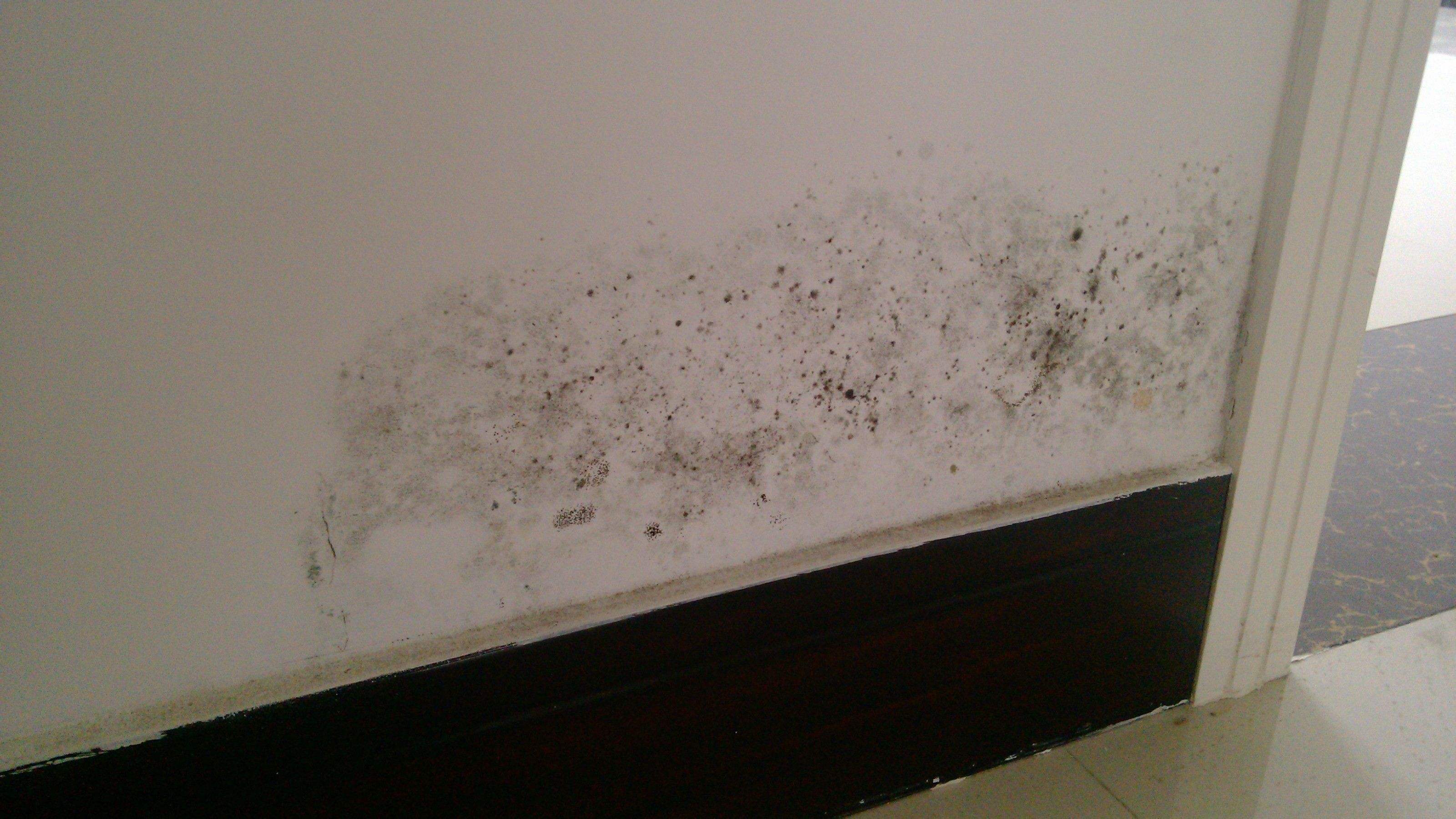 墙壁发黑发霉严重怎样处理掉,墙壁发霉变黑直接刷白可以吗