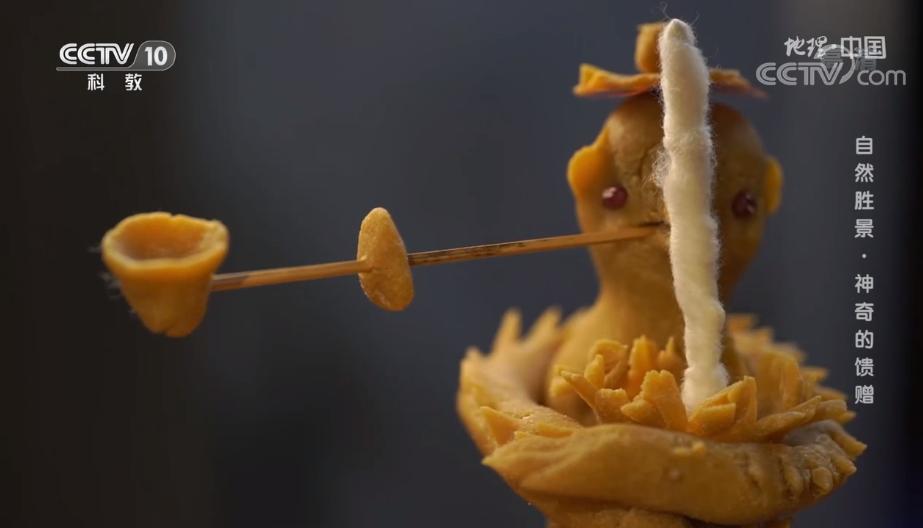 地理中国探秘青海湖,央视地理中国探秘鱼木洞