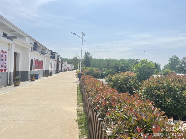 平安淮滨新变化丨淮滨县栏杆街道:喜迎二十大,夸夸我的家乡王湾新变化