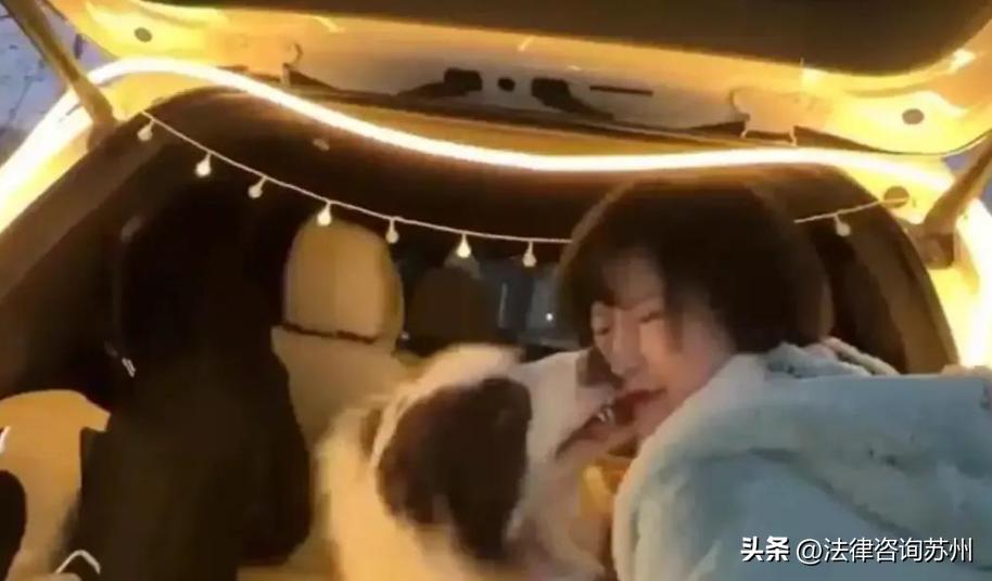 大狗咬伤小狗要赔偿八千元合理吗,宠物狗被咬伤索赔的案例