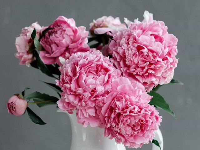 射手座不搭理你的四点原因,拥有较多人生选择的人,不会受限