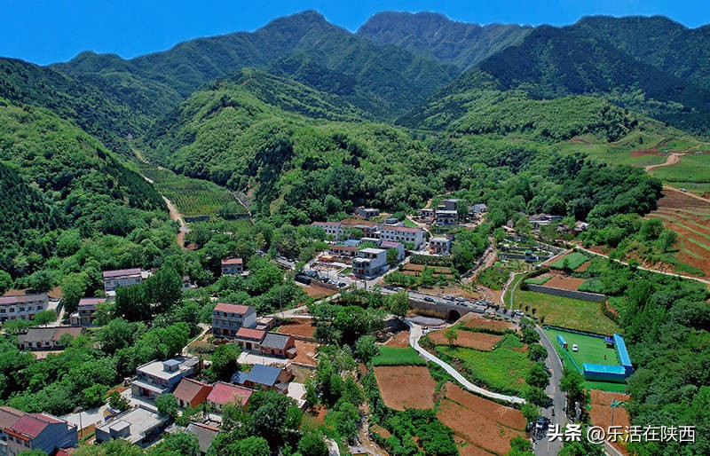 蓝田荞麦花海和高山草甸,西安荞麦花海旅游