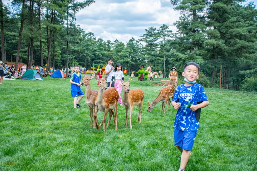昆明周边周末游玩的地方推荐,昆明周边游玩的好地方推荐
