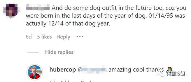 冬奥张国伟比赛视频,张国伟奥运搞笑