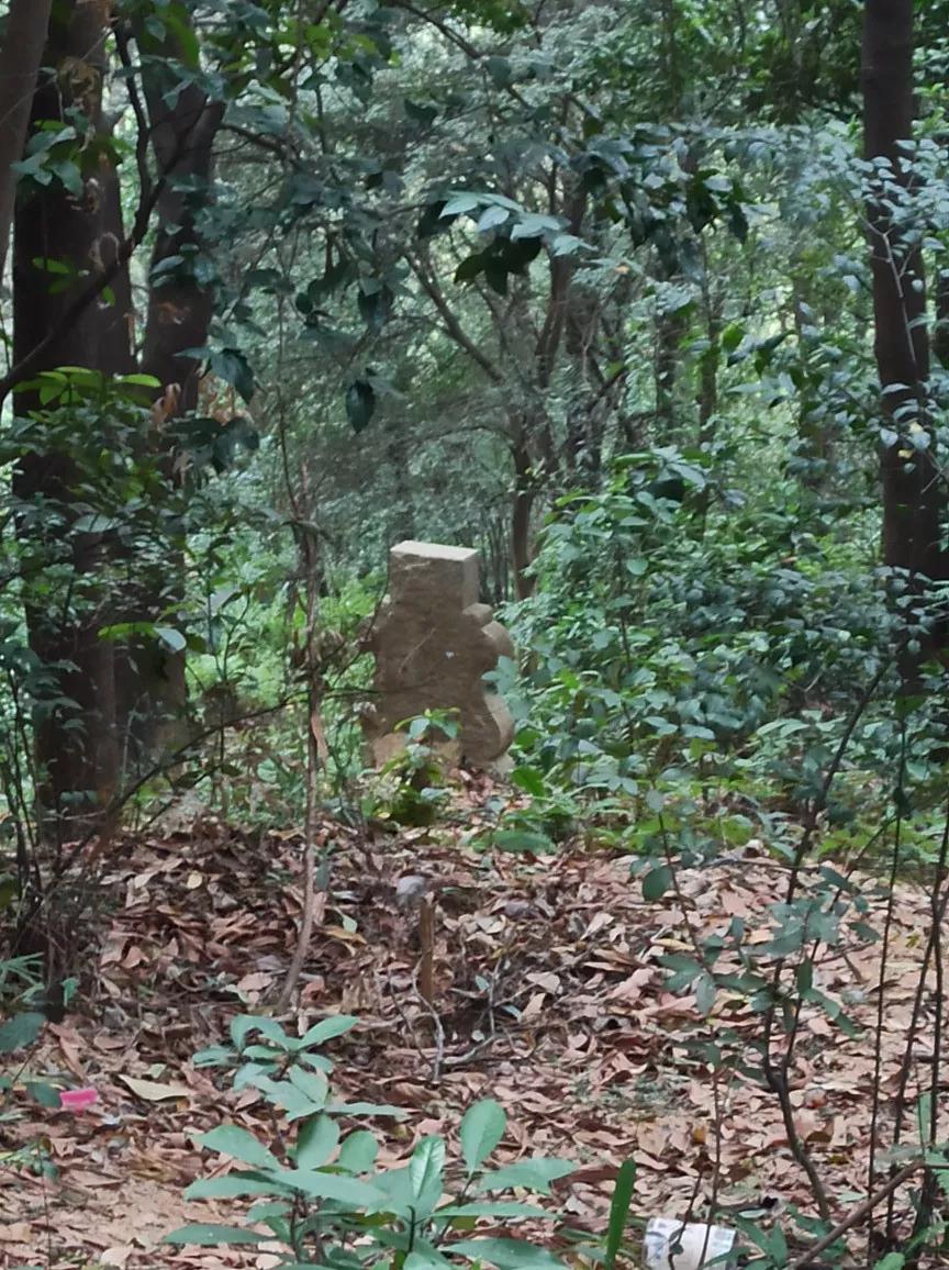 白云山适合徒步吗,一路徒步上白云山