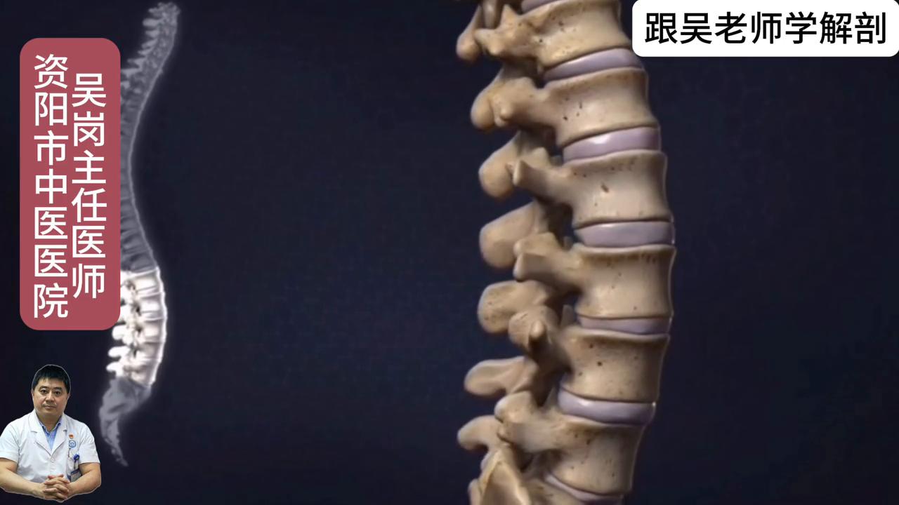 跟吴老师学习4年级上册第六页,跟吴老师学习视频