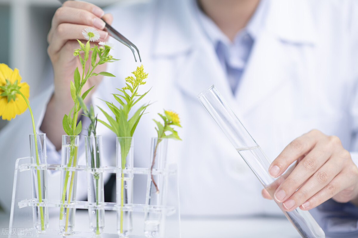 英国留学指南最热专业与最强院校,十大留学热门专业有你想申请的吗