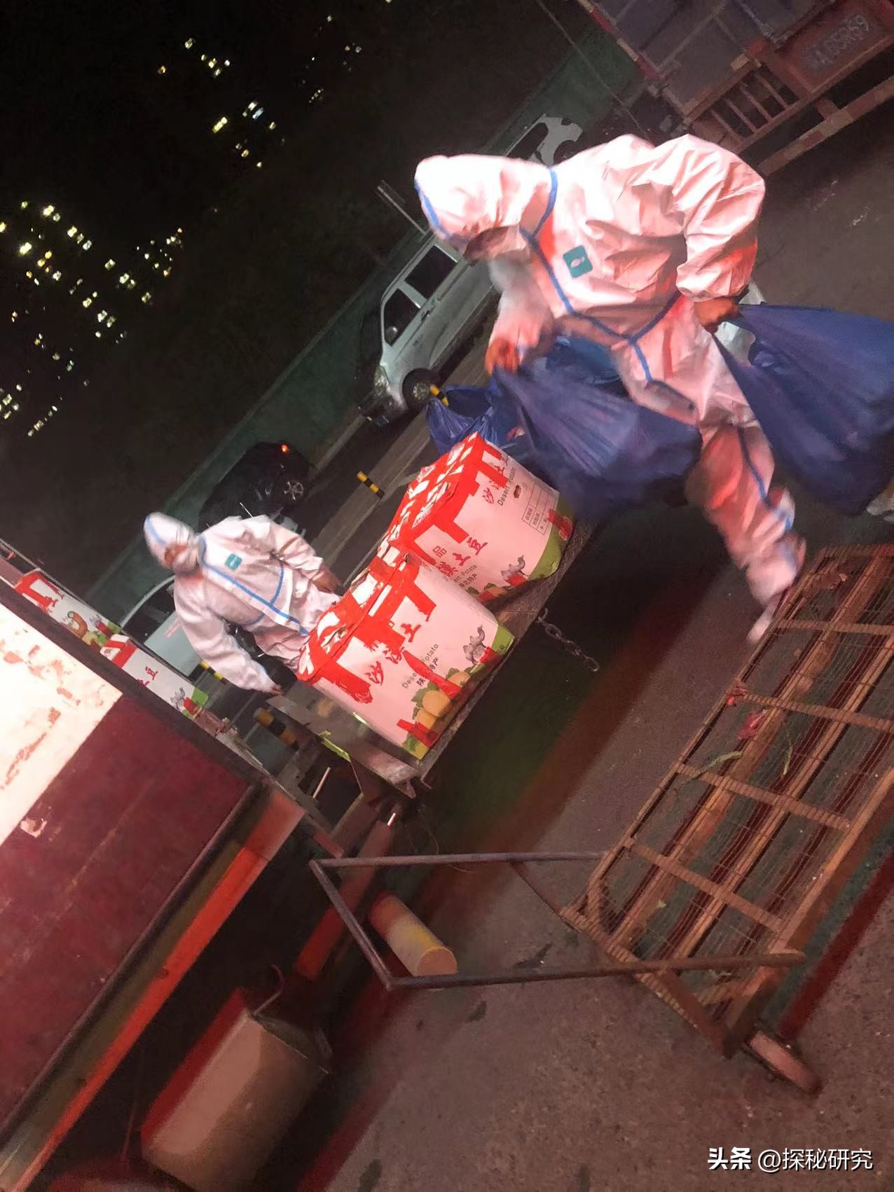 猪肉40一斤是什么原因,猪肉涨到40元一斤为什么