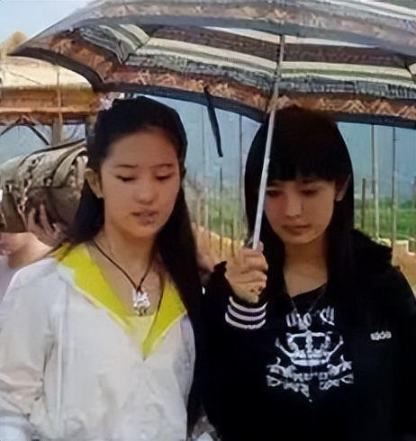 杨幂登上亿万富豪榜了吗,杨幂身价50亿完整版