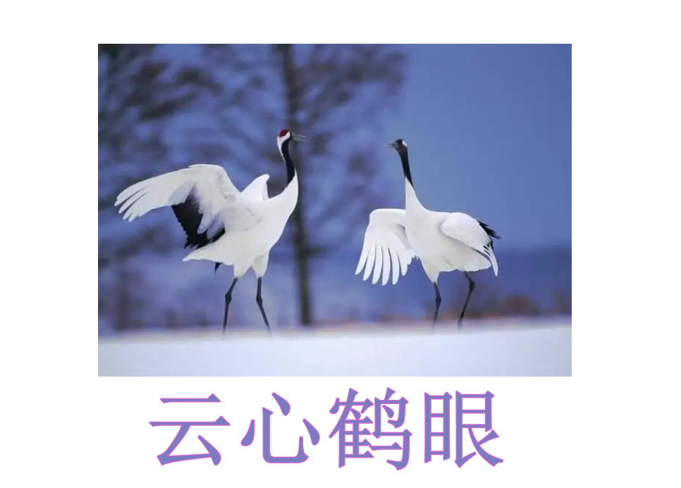 成语大全四字成语含数字成语,成语大全四字成语金枝玉叶