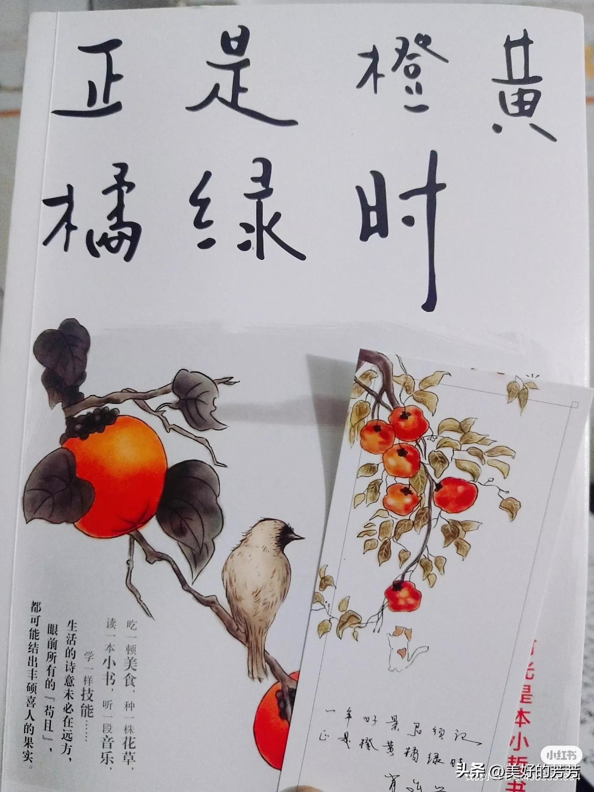 央视推荐的书,央视推荐的适合所有人看的书