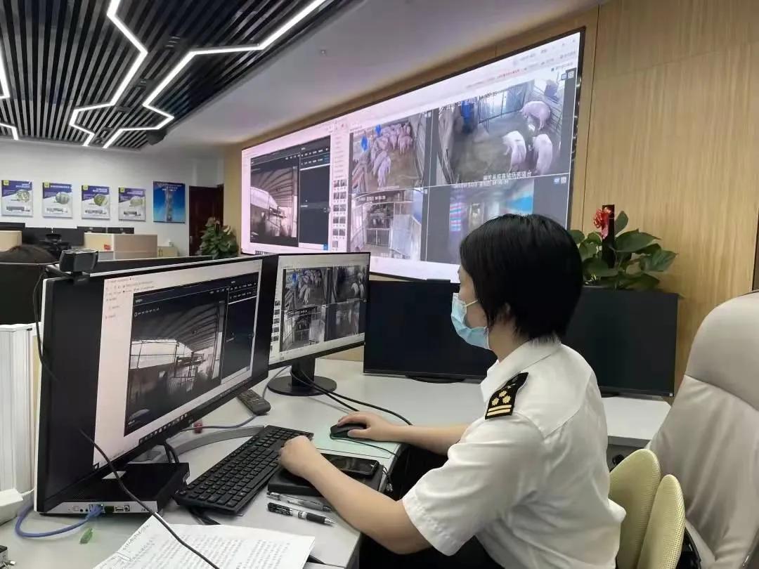 广西农垦感想,广西农垦改革