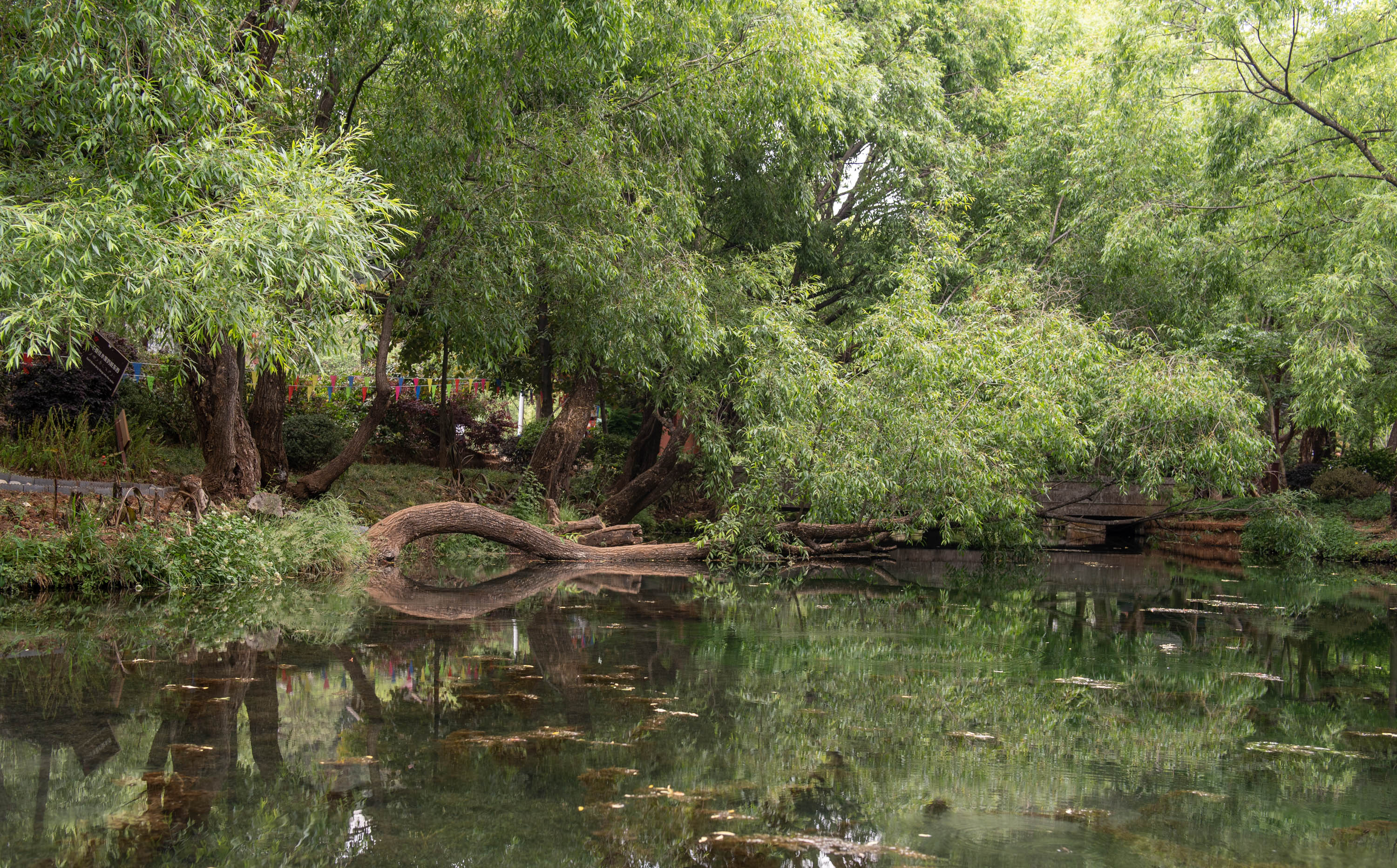 去云南跟团一日游攻略图片大全集,云南六日游跟团路线攻略大全