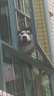 女朋友是不是平胸怎么验,被说平胸怎么安慰自己