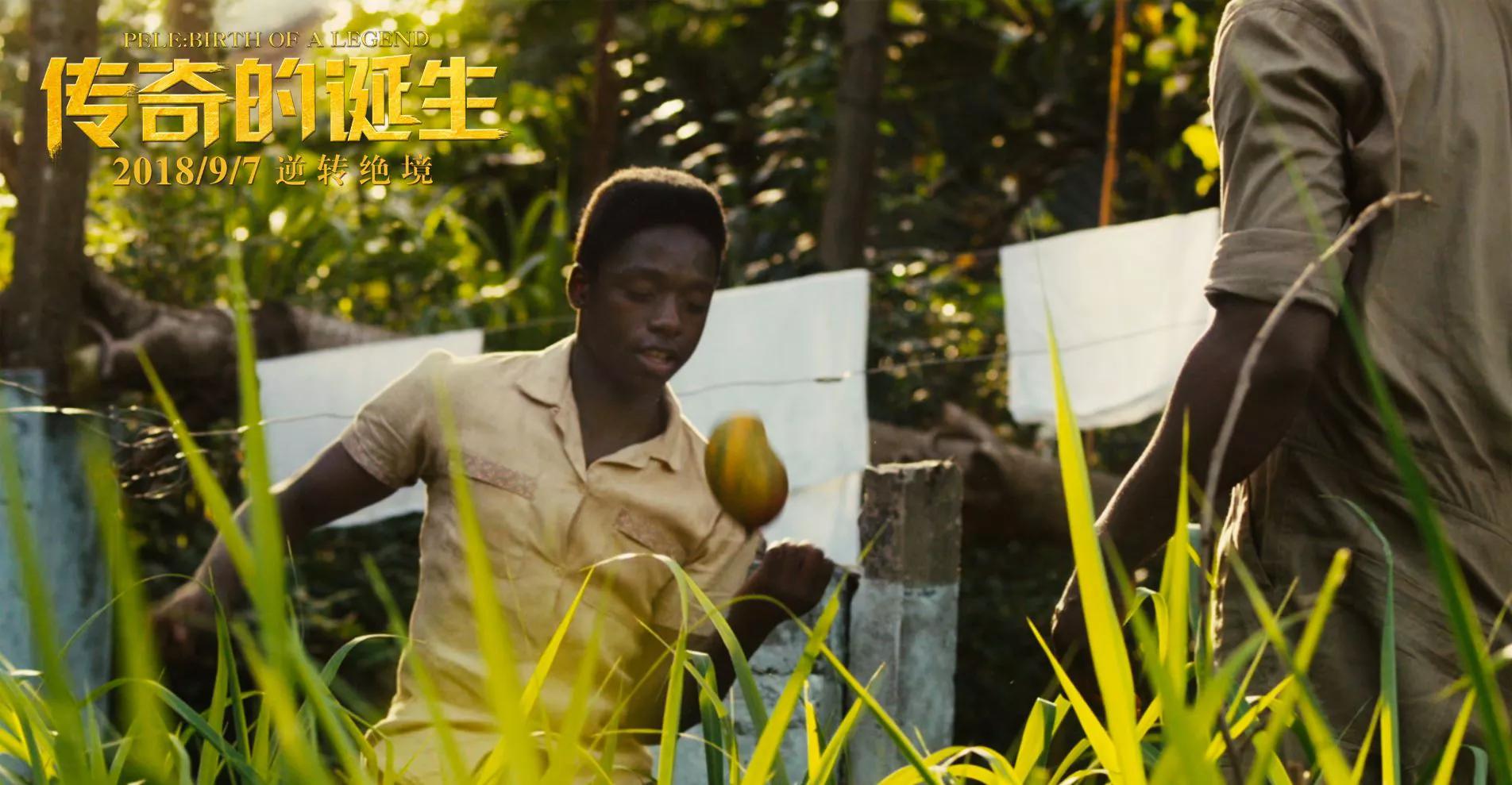 电影传奇的诞生贝利,贝利传奇诞生电影