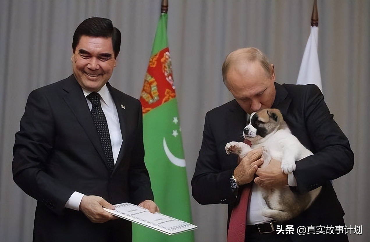 宠猫宠狗的最高境界，送它们去从政