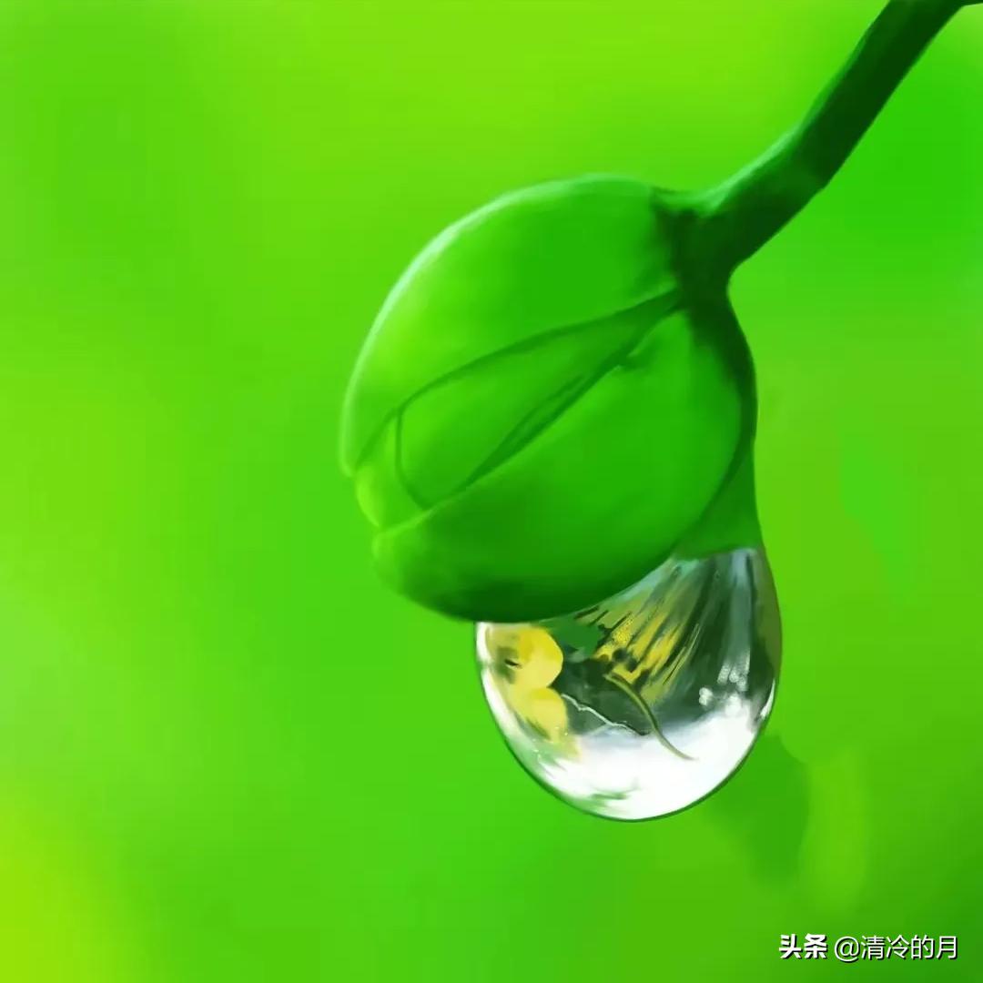 人生感悟兄弟姐妹情,人生感悟兄弟情