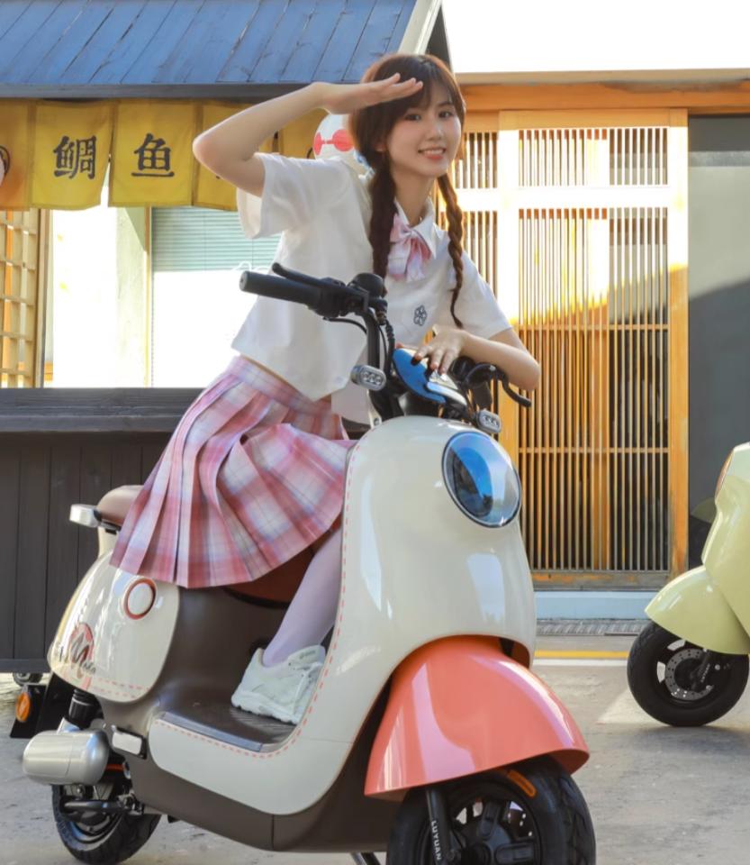 绿源s系列电轻摩有哪些,绿源能挂绿牌的轻电摩