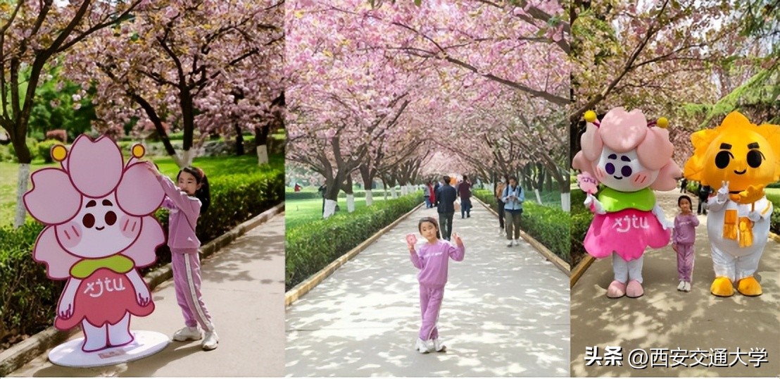 “春见”仙交，樱寄情思