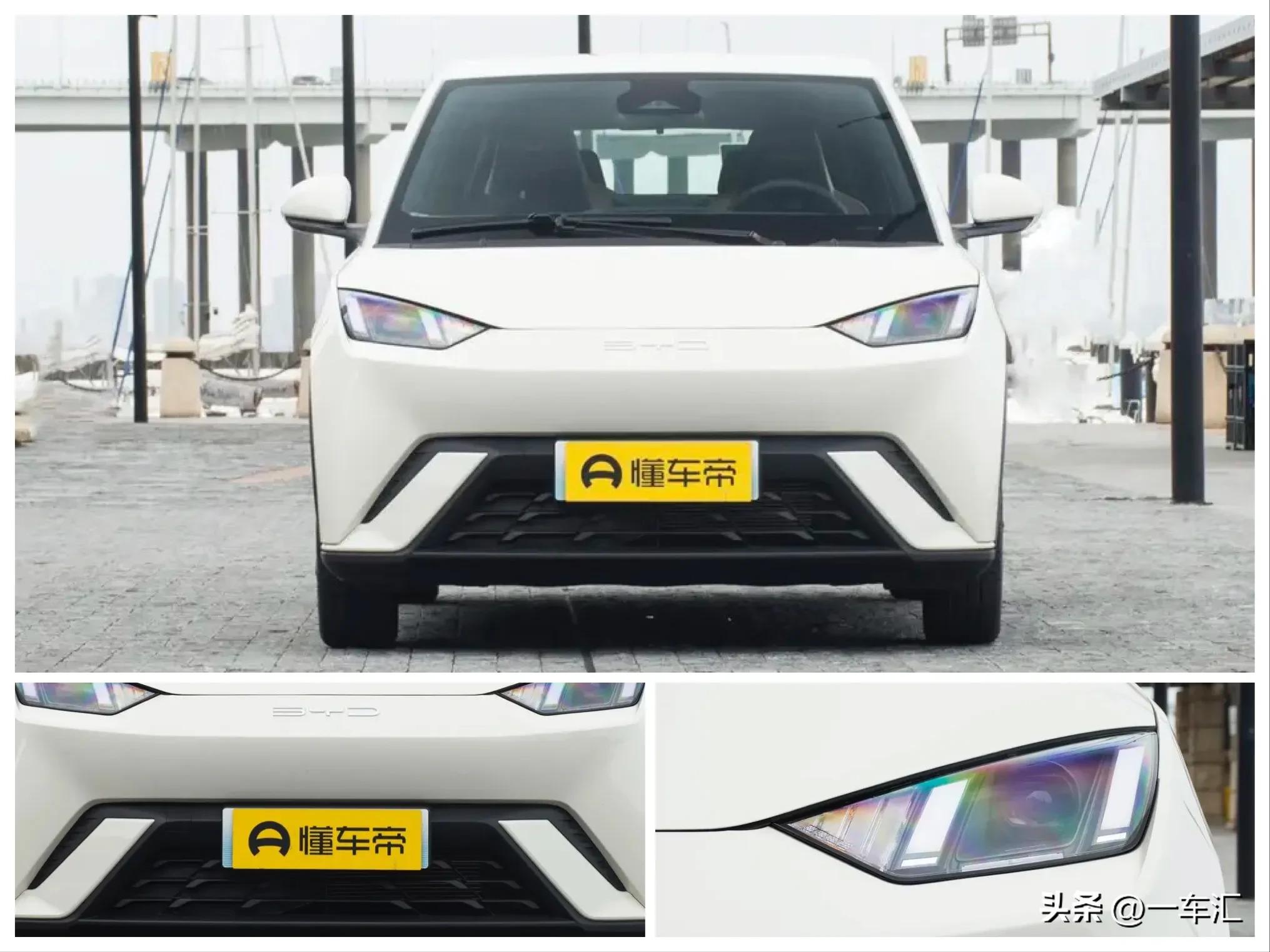 比亚迪海鸥最小的电动车,比亚迪海鸥纯电动车好吗