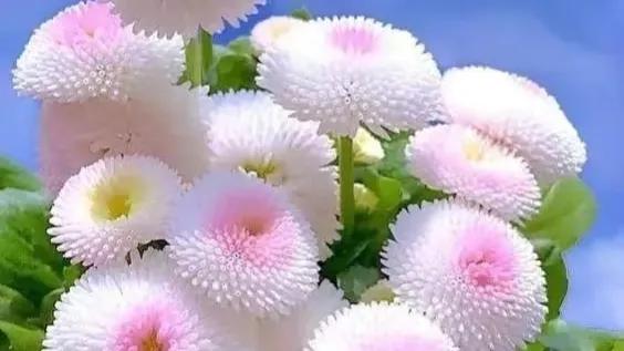 2022高考押题Ⅰ高频汉字范文2《聚积众力绘风采奋楫共渡新河汉》