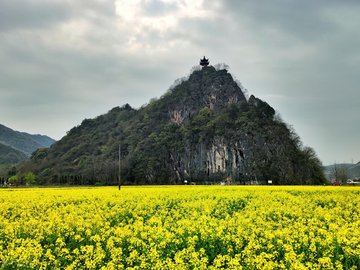 小学语文三年级下册必背古诗,小学语文考编必背古诗汇集朗读