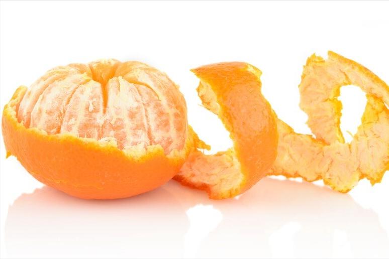 帮狗狗驱除“跳蚤”的几个偏方,真的很有用,快收藏吧