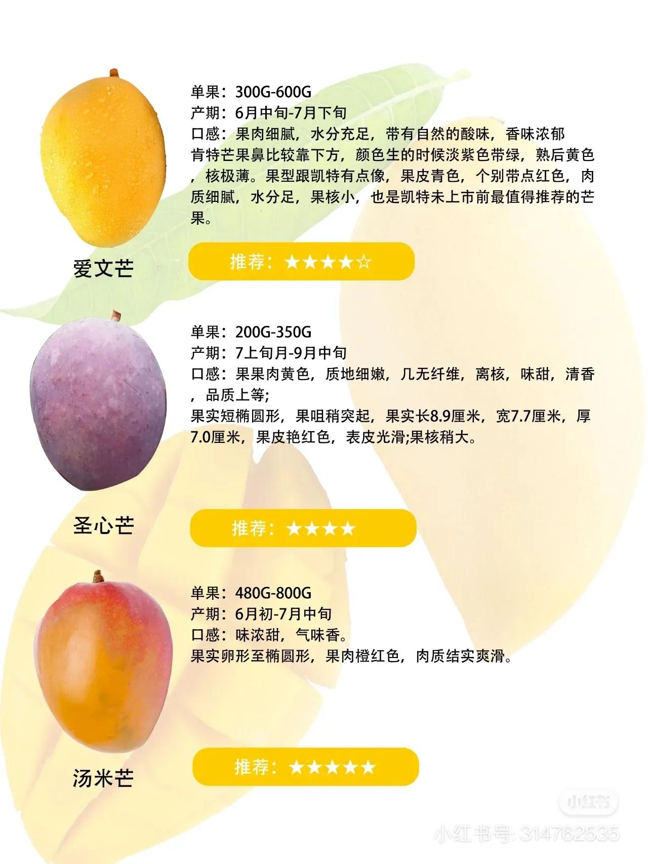 常见芒果的区别及口感,常见芒果的区别