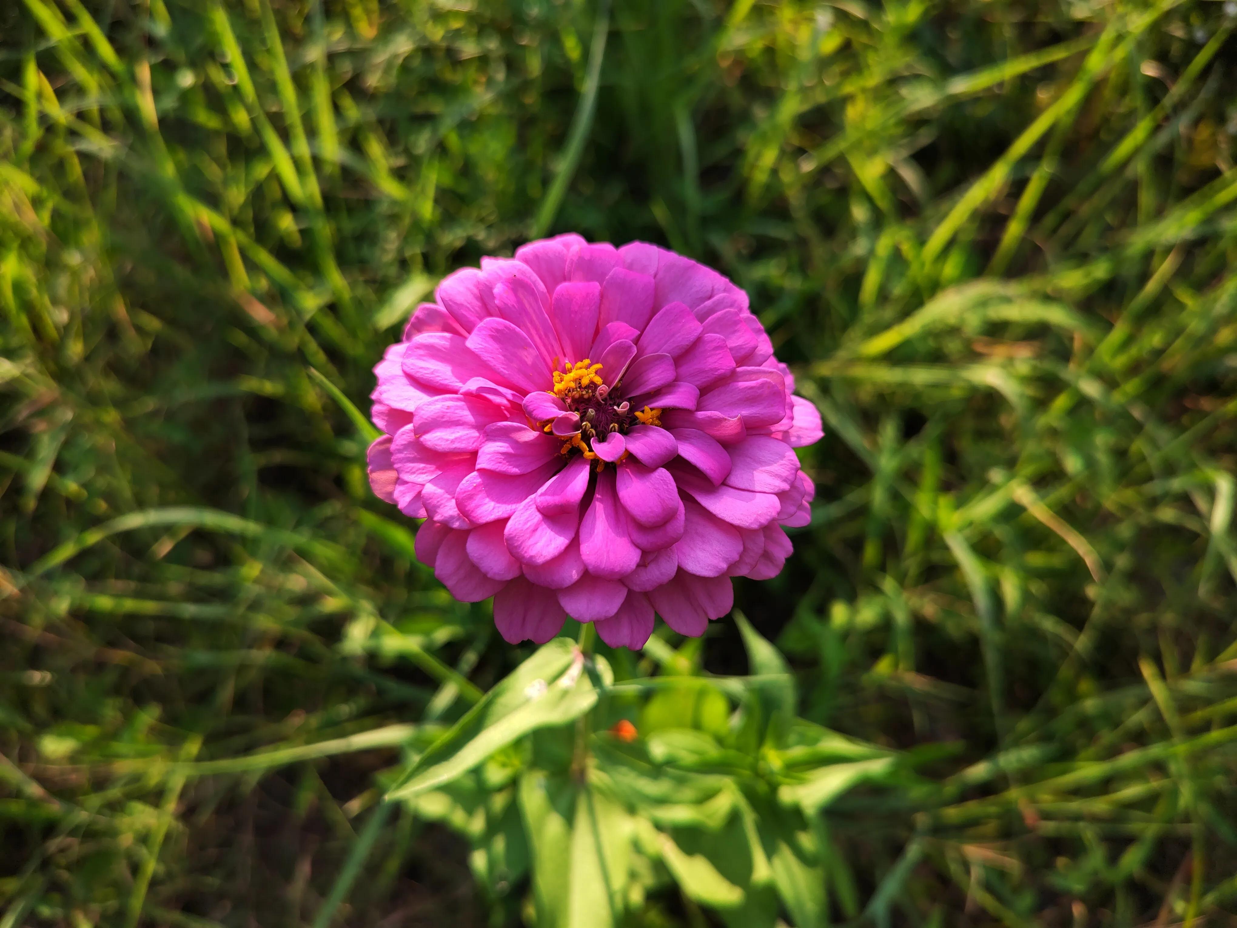 浅论财务风险管理,小白如何入门股票账户管理