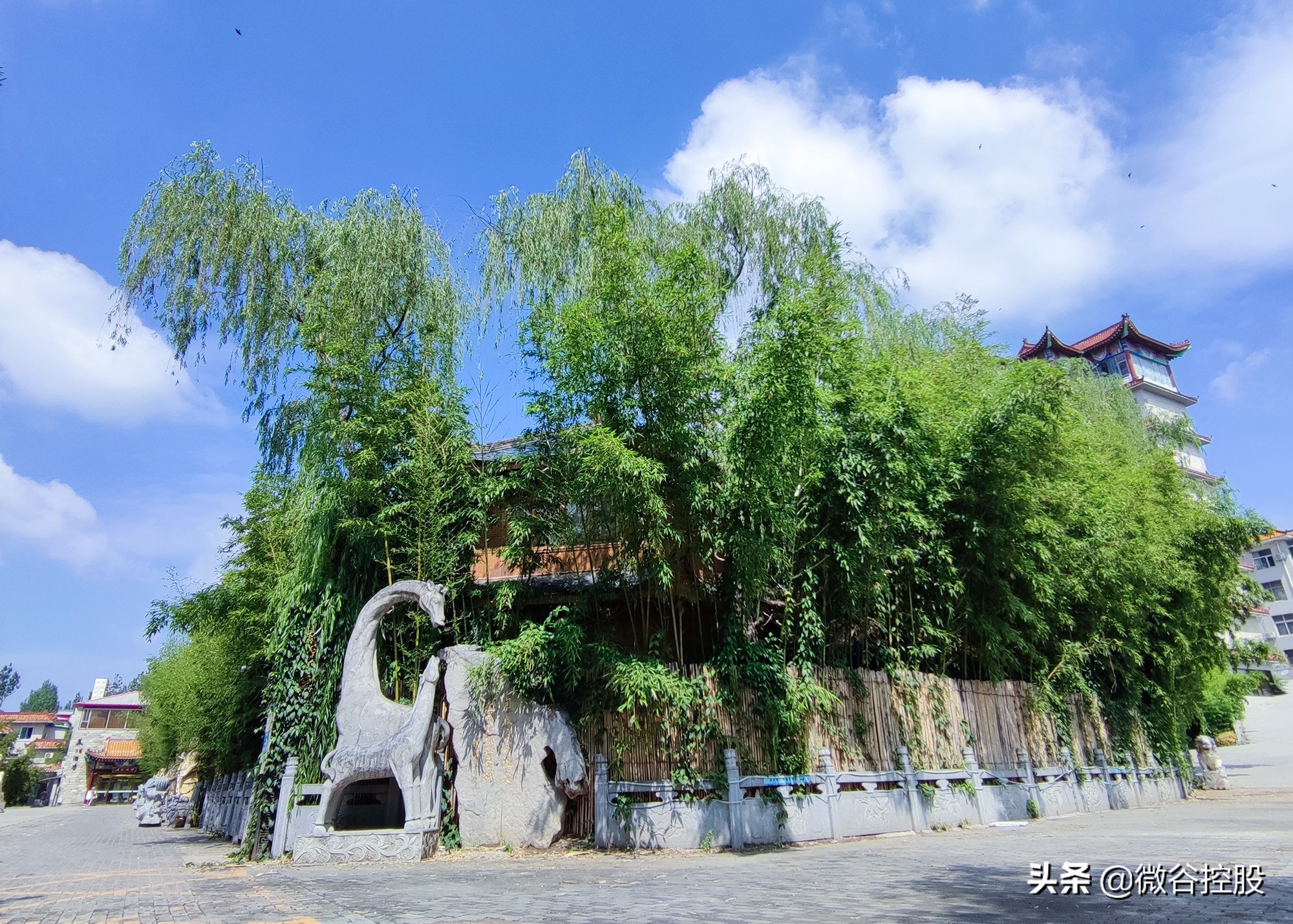 寰胺鐩存挱鍩哄湴鍥剧墖,寰胺鐩存挱鍩哄湴闄㈤暱