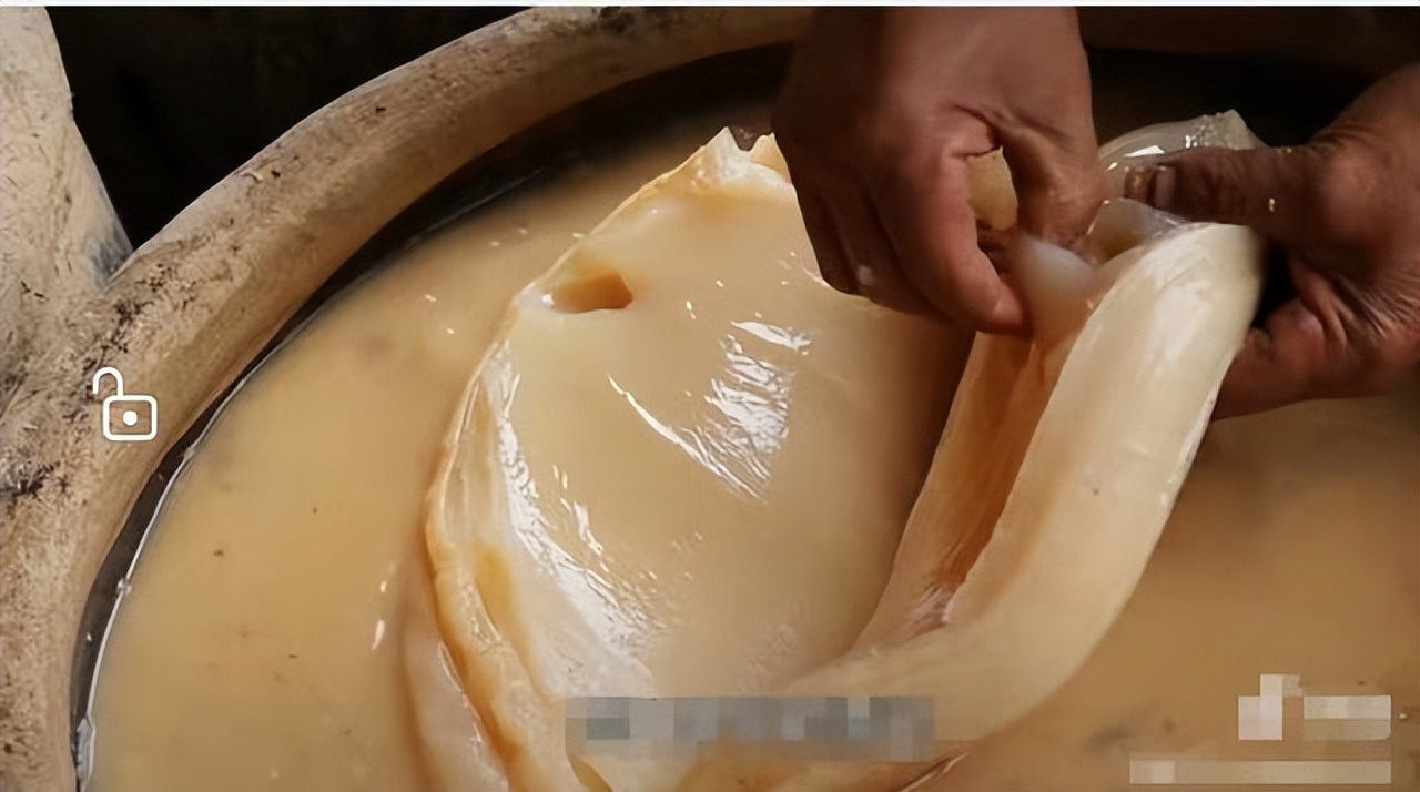 醋里面长的肥肉,醋里面长的肉