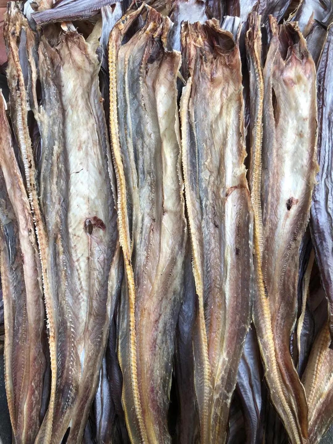 汕尾本港正宗鱿鱼须干,汕尾本港公司鱿鱼干
