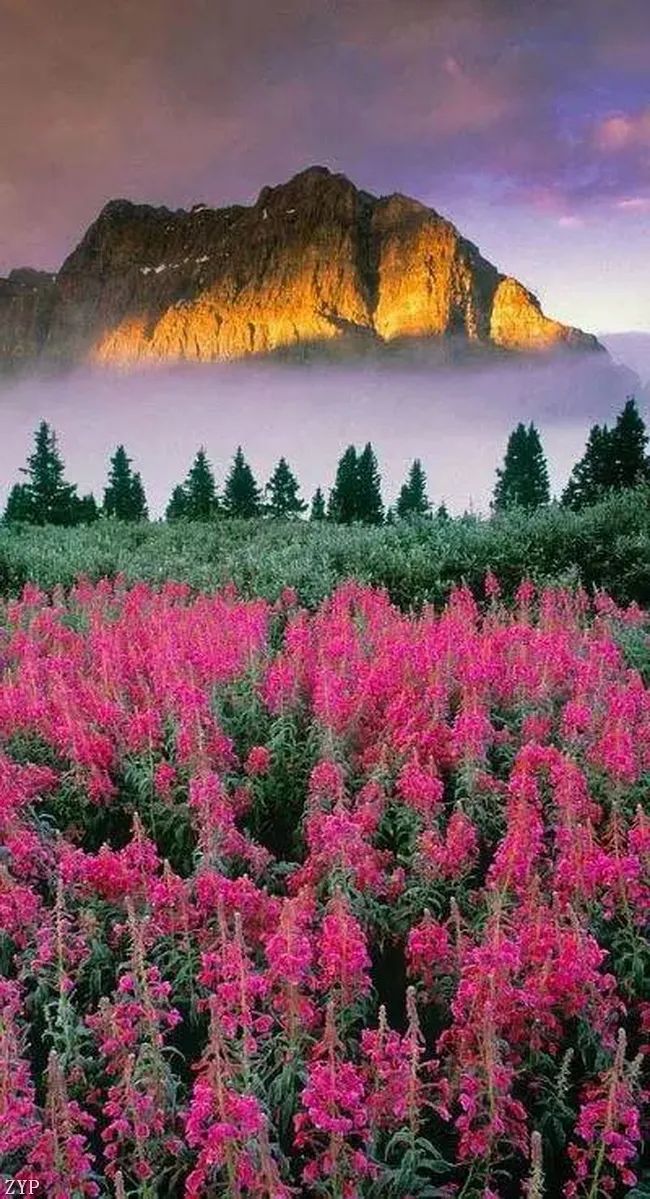 太美了100个世界级美景,全球100张绝世美景