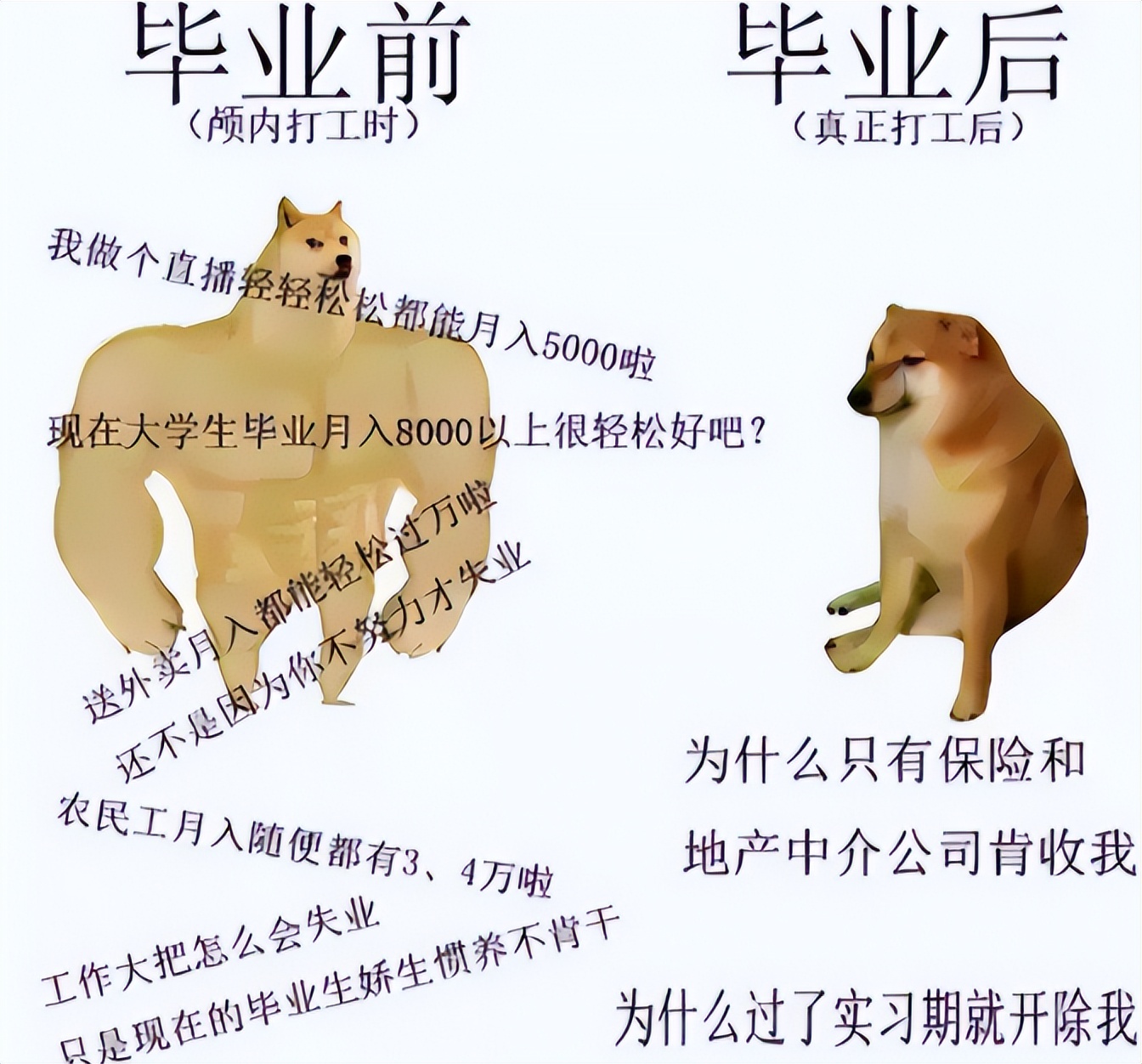 上学和毕业变化搞笑图,大学生用梗图实力调侃毕业生