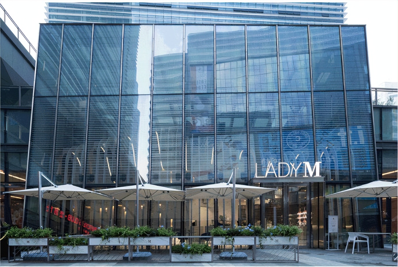 喜茶倡导奶茶行业用真奶,喜茶投资seesaw咖啡