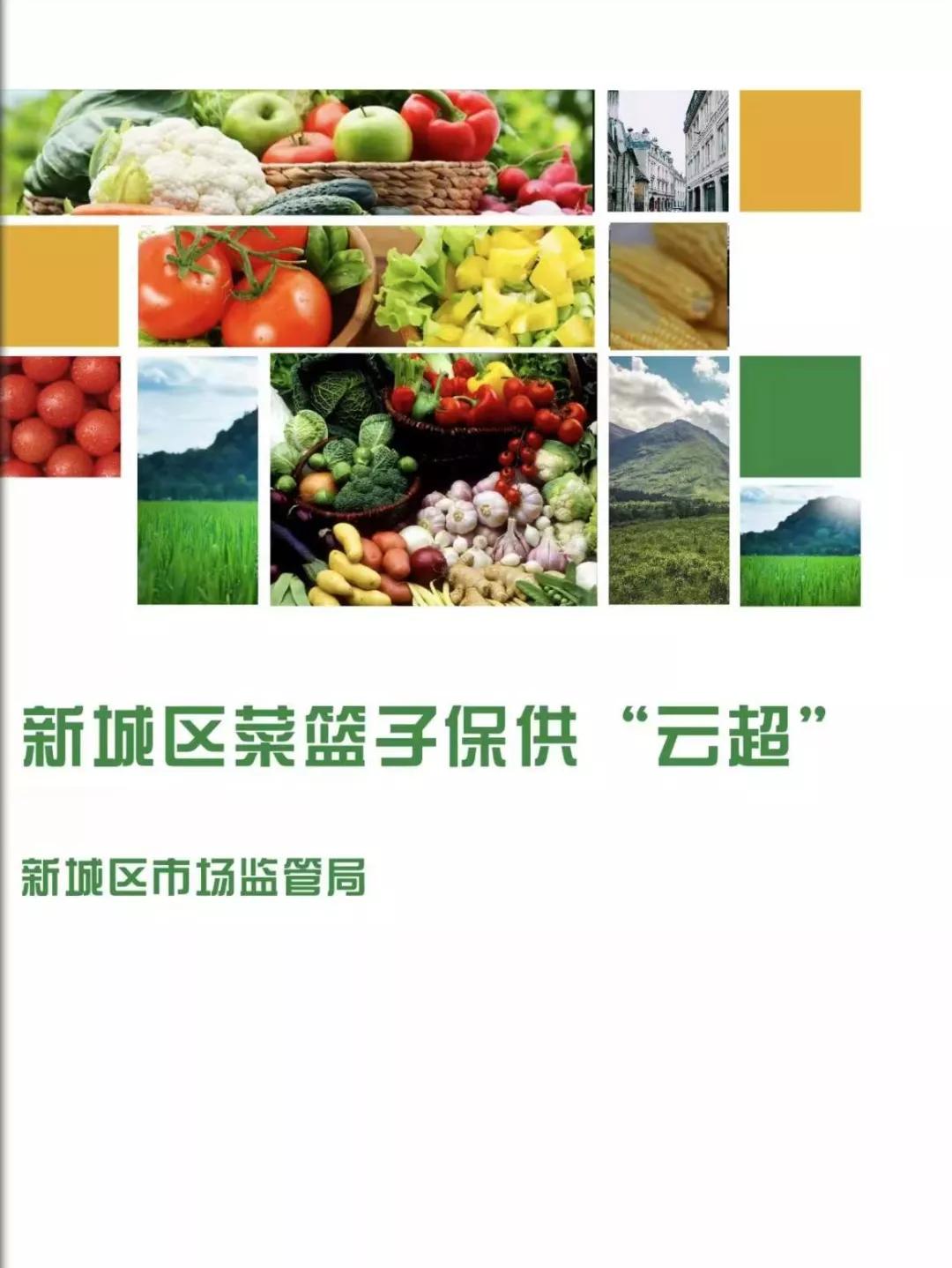 新城区生鲜蔬菜配送,菜篮子保供基地