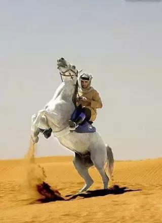 迪拜王子哈曼丹写情诗,迪拜哈曼丹王子兄弟