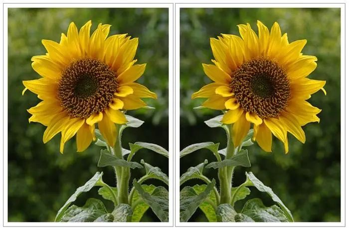 3-6岁儿童写反字,幼儿写反字是什么原因