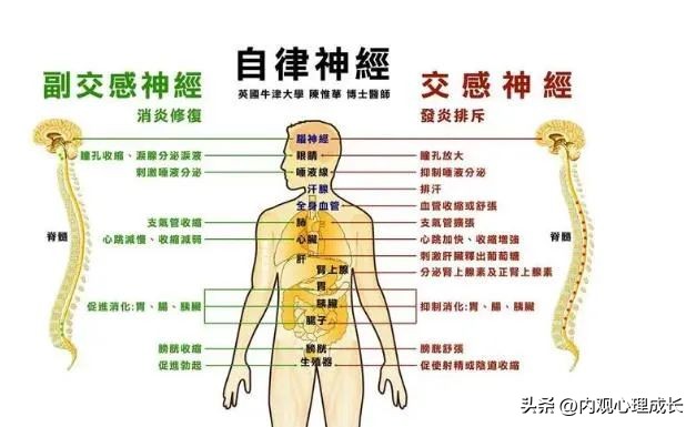 恐惧心理疾病的治疗方法,如何治疗心理疾病恐惧症