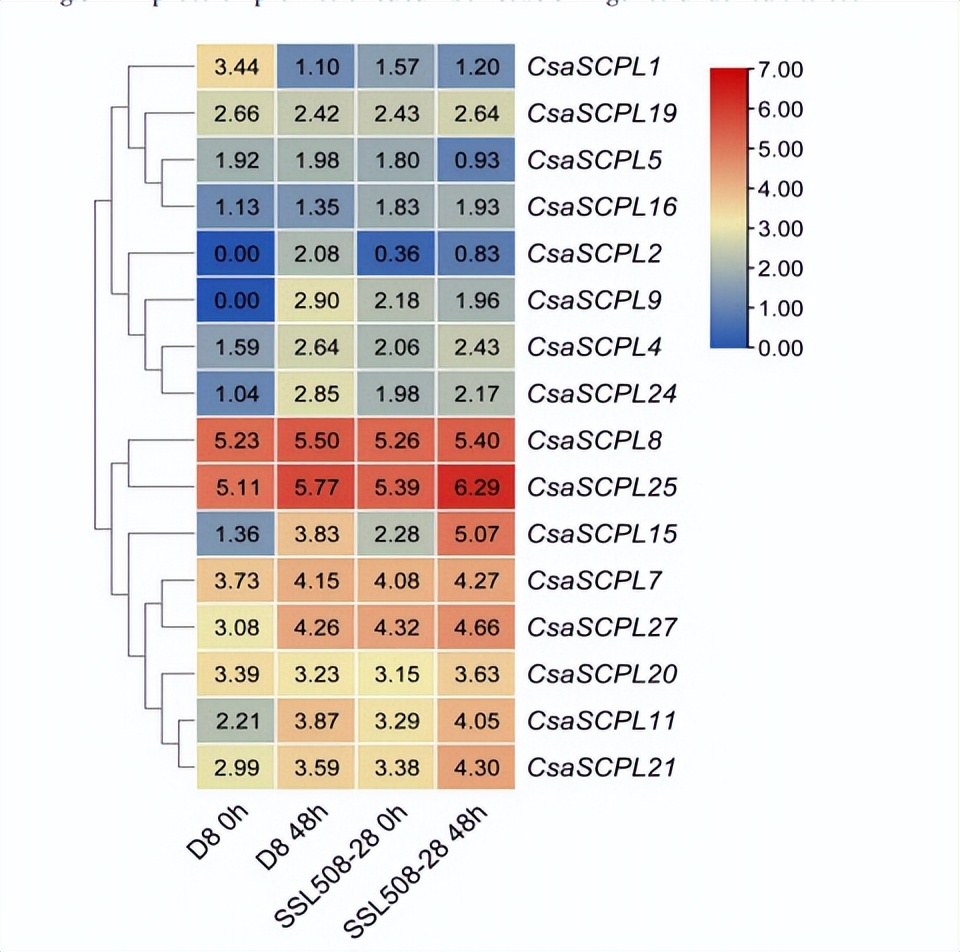 黄瓜基因组数据库怎么查基因序列,黄瓜花叶病毒基因序列