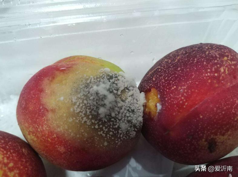 感染性腹泻诊断标准及处理原则,孩子腹泻反反复复是怎么回事