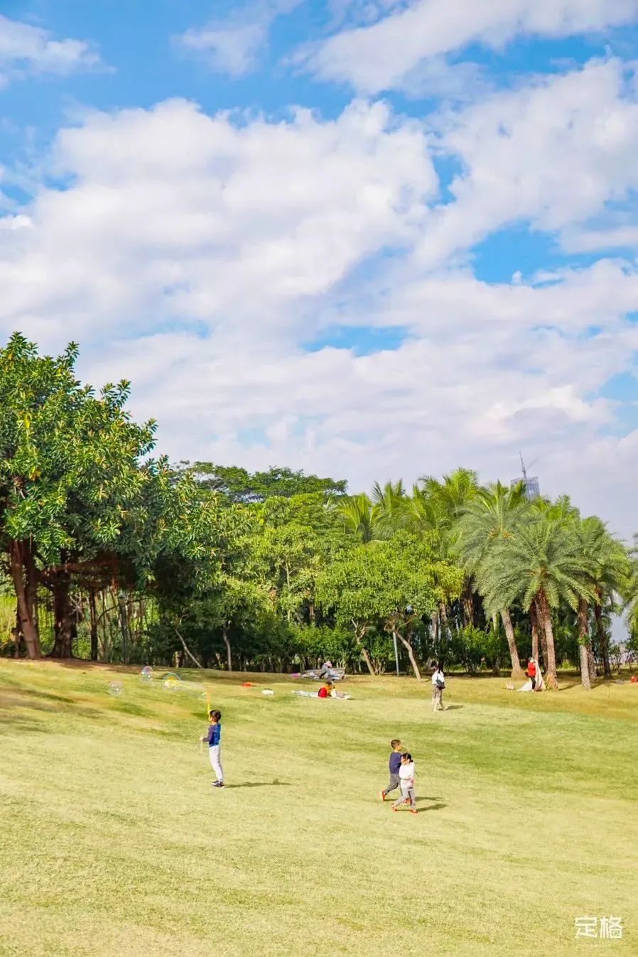 深圳周末带孩子免费游玩好去处,周末去哪玩推荐深圳